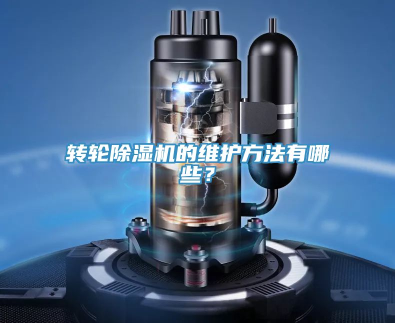 转轮抖音成人版下载的维护方法有哪些？