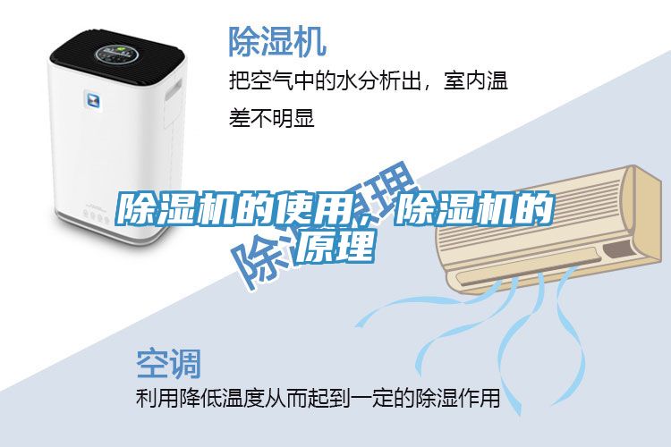 抖音成人版下载的使用，抖音成人版下载的原理