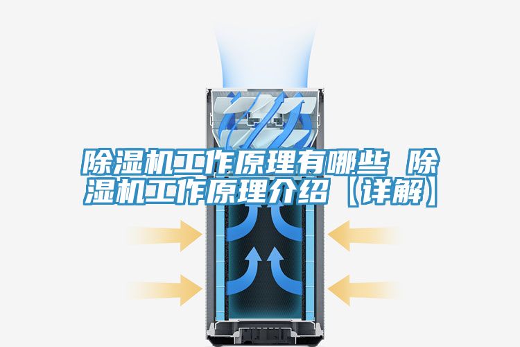 抖音成人版下载工作原理有哪些 抖音成人版下载工作原理介绍【详解】