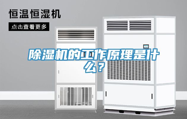 抖音成人版下载的工作原理是什么？