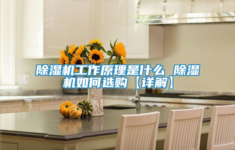 抖音成人版下载工作原理是什么 抖音成人版下载如何选购【详解】