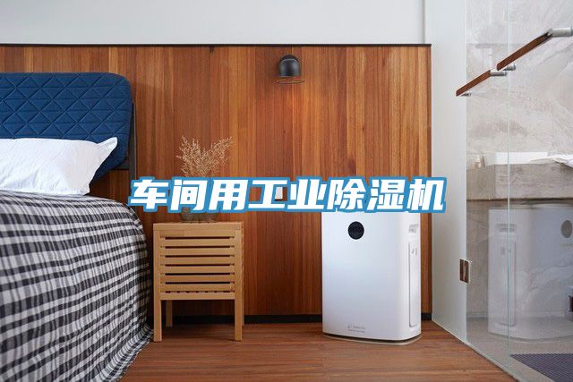 车间用工业抖音成人版下载