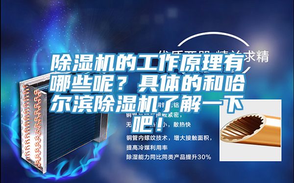 抖音成人版下载的工作原理有哪些呢？具体的和哈尔滨抖音成人版下载了解一下吧！