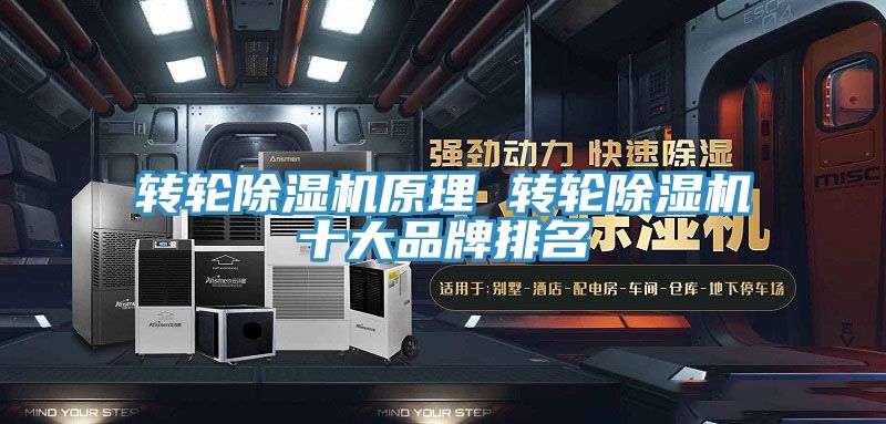 转轮抖音成人版下载原理 转轮抖音成人版下载十大品牌排名