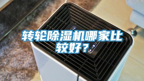 转轮抖音成人版下载哪家比较好？