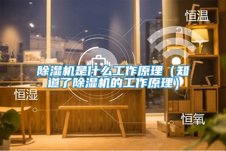 抖音成人版下载是什么工作原理（知道了抖音成人版下载的工作原理）