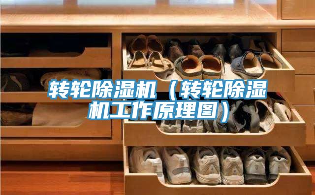 转轮抖音成人版下载（转轮抖音成人版下载工作原理图）