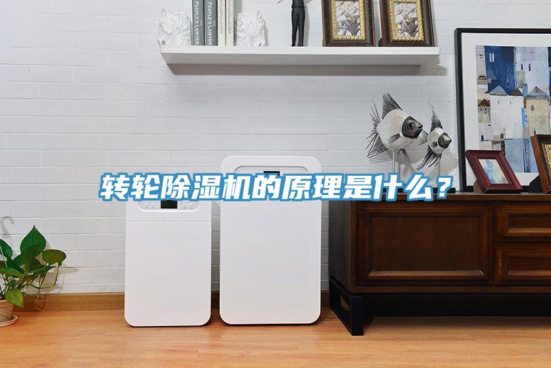 转轮抖音成人版下载的原理是什么？