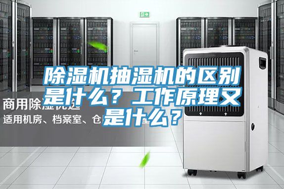 抖音成人版下载抽湿机的区别是什么？工作原理又是什么？