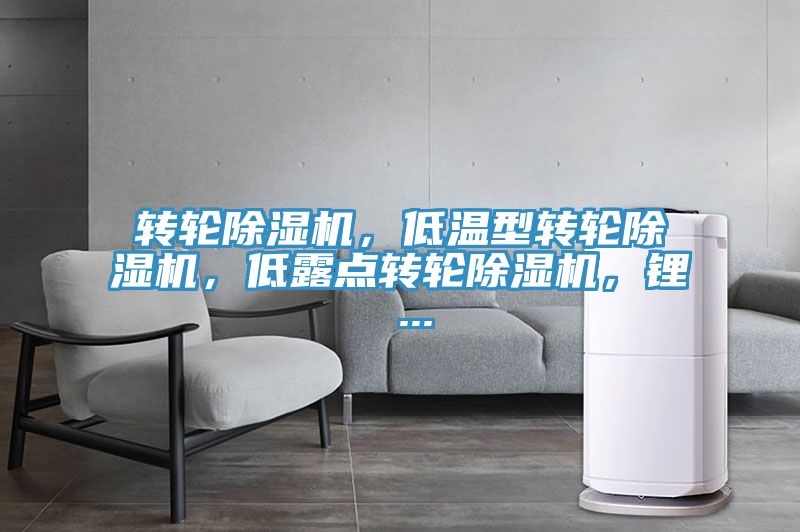 转轮抖音成人版下载，低温型转轮抖音成人版下载，低露点转轮抖音成人版下载，锂 ...