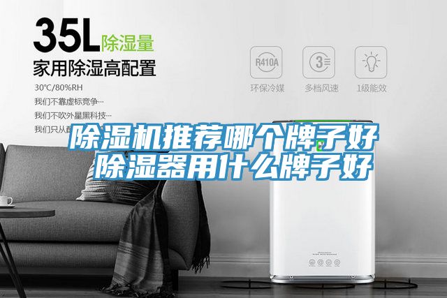 抖音成人版下载推荐哪个牌子好 除湿器用什么牌子好