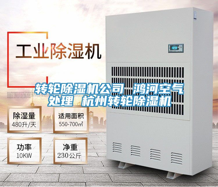 转轮抖音成人版下载公司 鸿河空气处理 杭州转轮抖音成人版下载