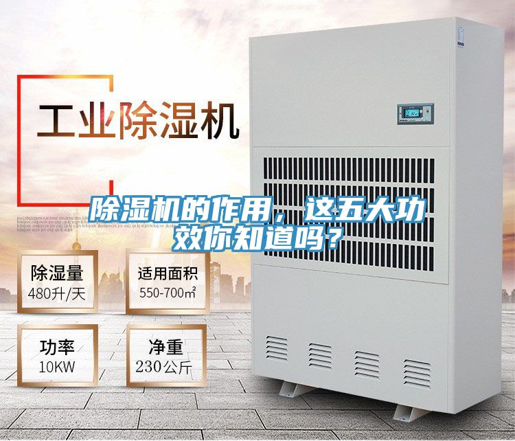 抖音成人版下载的作用，这五大功效你知道吗？