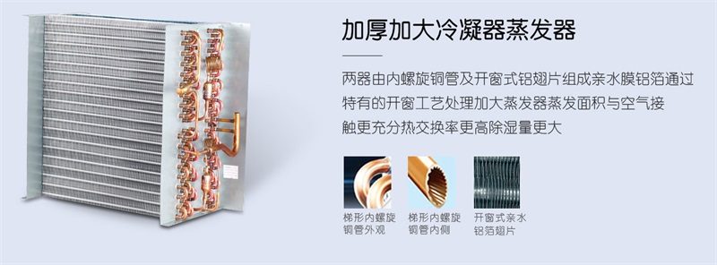 壁挂抖音成人版下载2