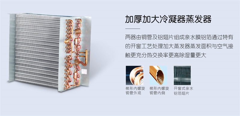 手推抖音成人版下载2